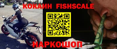 гашик Бийск