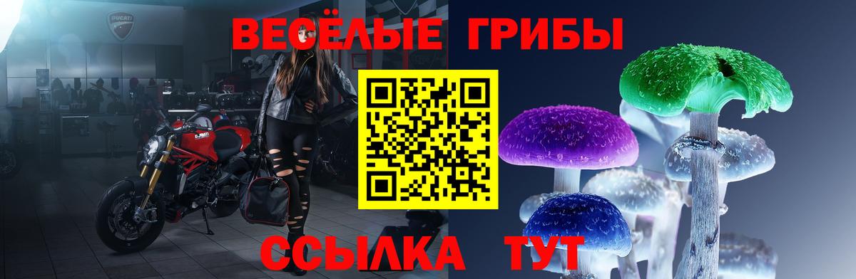 Псилоцибиновые грибы Cubensis Воркута